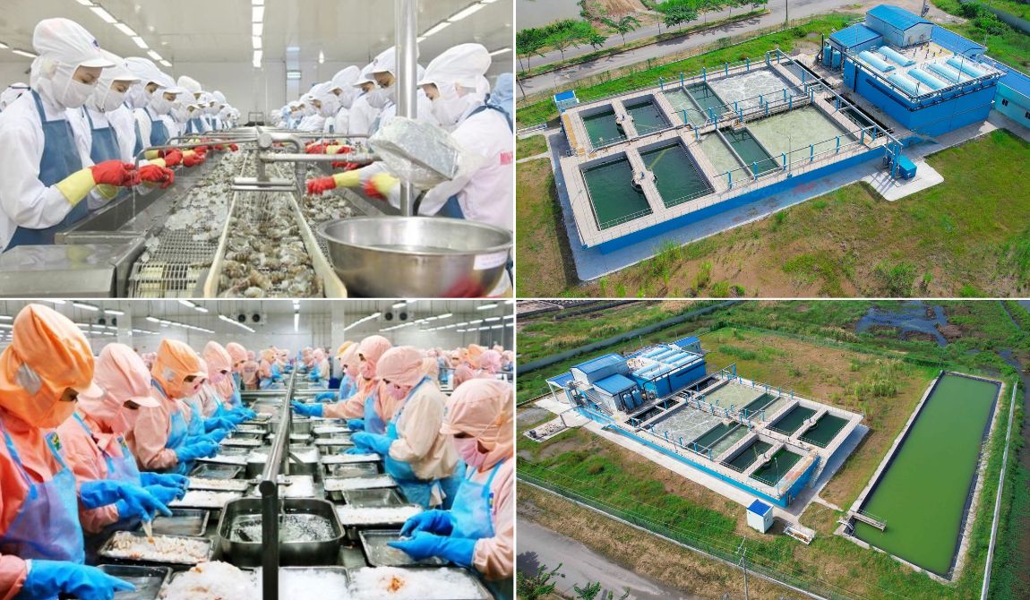 Tổng quan xử lý nước thải ngành thủy sản