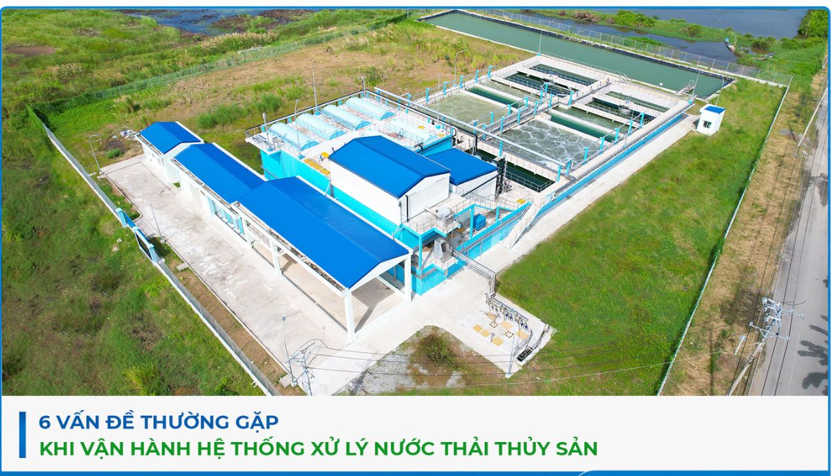 Xử lý nước thải thủy sản